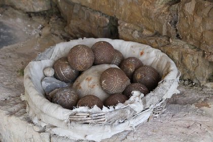 Domaine de Nougayrolles : Gîte Les Lavandes , © 2013-2018 Domaine de Nougayrolles