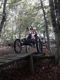 AMUSE - François Mobian, 