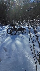 AMUSE - François Mobian, 