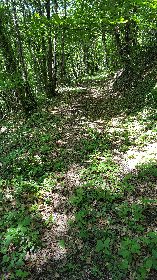 Parcours Trail Noailhac n° 4, OFFICE DE TOURISME de CONQUES-MARCILLAC