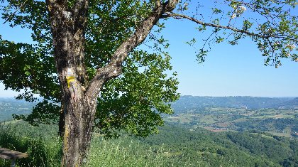 Au cours du parcours Trail du Grand-Mas en Aveyron, découvrez la chapelle Saint-Jean le Froid et son point de vue à 360°., OTCM