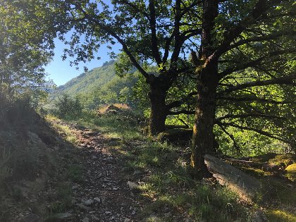 Un point de vue sur le parcours trail de Grand-Vabre, F. Lemaitre - OTCM