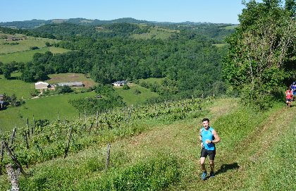 près de Combret dans les vignes de l'AOP Marcillac le parcours trail e Nauviale , OTCM