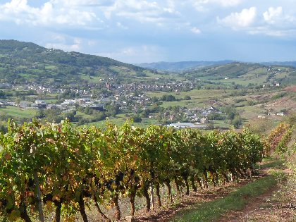Dans les vignes au dessus de Saint-christophe, MM-OTCM