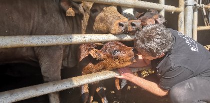 MAS D'HERENS, Pauline Nardese