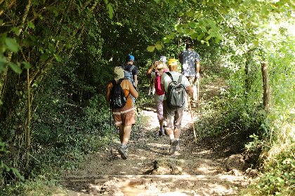 Rando, Florian Thomasse