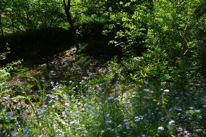 Vallée du Lézert, OTPS