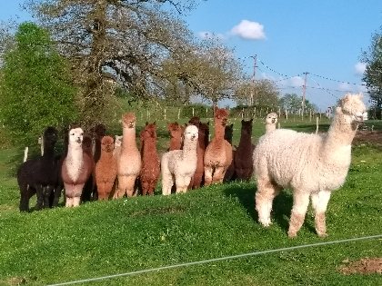 Duprem House, OT Villefranche-Najac