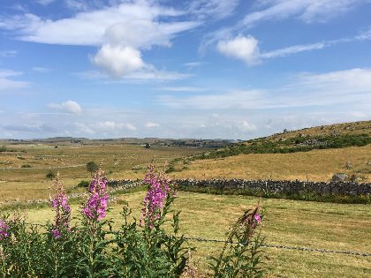 RANDONNEE LE GRAND GITE, 