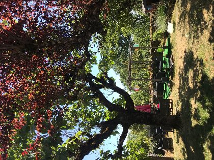 JARDIN POMMIERS LE GRAND GITE DESTINATION AUBRAC, Le Grand Gîte (groupes)