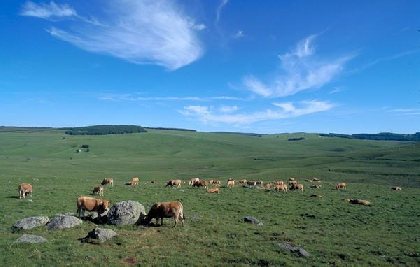 Cyclotourisme : Circuit de l'Aubrac , 