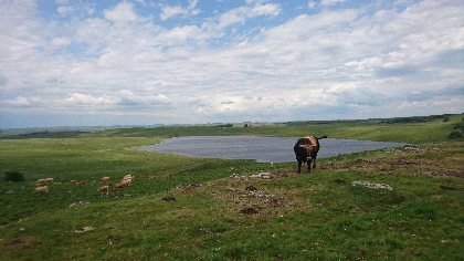 Circuit de Trélans - Les boucles des Causses à l'Aubrac , 