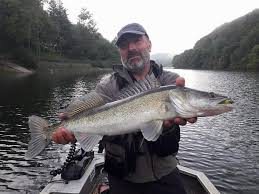 Pêche aux carnassiers , 