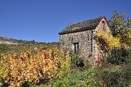 Cabane de vigne dans le Vallon de Marcillac, OTCM - G. Tordjeman