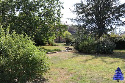 Une vue du parc, Ô Cèdre Bleu