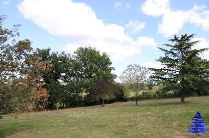 Une autre vue du parc, Ô Cèdre Bleu