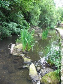 Géocaching à Pont de Salars, 