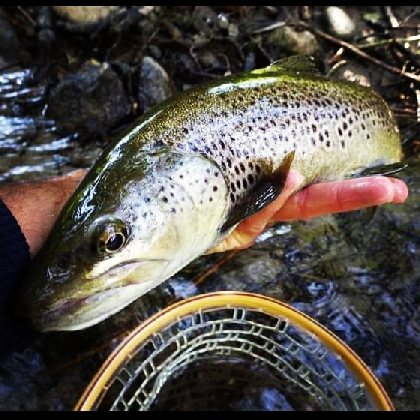 Pêche Passion Grands Causses, Debouté sébastien