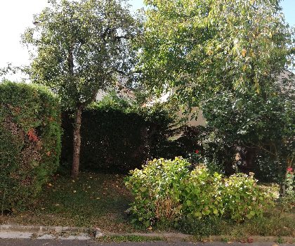 jardin, Gilles COTTA