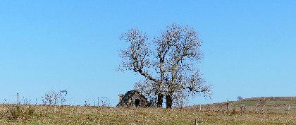 La croix du Cayre, S. MARTY