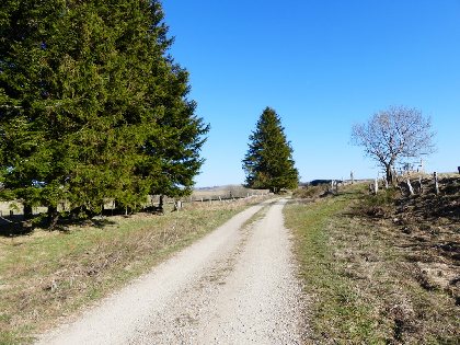 La croix du Cayre, S. Marty