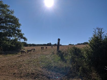 VTT - Circuit 4 Les Trois Châteaux, Pascal Tavernier