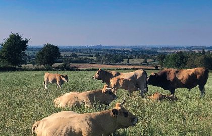 VTT - Circuit 4 Les Trois Châteaux, Alain Tranier