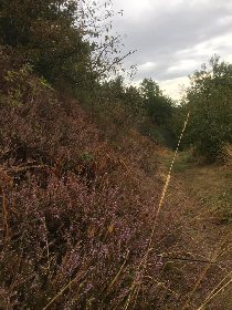 VTT - Circuit 7 Vallée De L'Aveyron, Julien Raffy