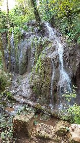 VTT - Circuit 13 La Cuvée Du Vallon, Daniel Bielka