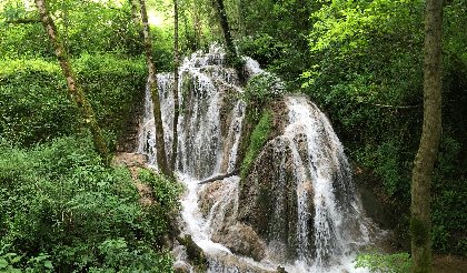 VTT - Circuit 13 La Cuvée Du Vallon, Daniel Bielka