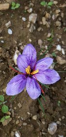 Domaine du Ségala, Domaine du Ségala