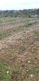 Domaine du Ségala, Domaine du Ségala