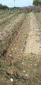 Domaine du Ségala, Domaine du Ségala