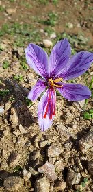 Domaine du Ségala, Domaine du Ségala