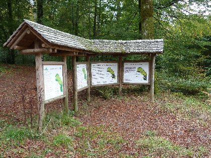 Aire de pique-nique du Lagast, Sentier d'Interprétation de la Hêtraie