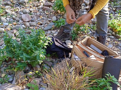 Pêche sur les berges du Dourdou, OFFICE DE TOURISME DU PAYS DE ROQUEFORT ET DU ST-AFFRICAIN
