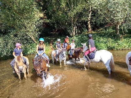 Les poneys de Patchanka, Office de Tourisme Rougier d'Aveyron Sud