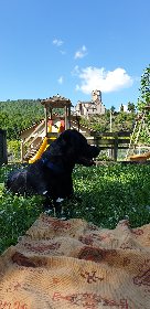 Espace loisirs de L' Horte , M.Ninot