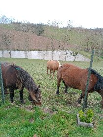 Gîte de Marsol, Gite de Marsol