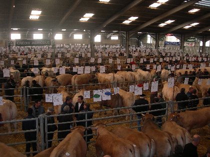Découverte de Baraqueville - foire agricole, Mairie de Baraqueville