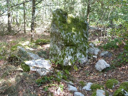 La Fontaine des Fachilièiras à Saint-Salvadou, OFFICE DE TOURISME AVEYRON SEGALA