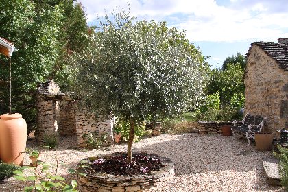 The Courtyard, Olive Tree Cottage