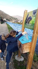 Aire de pique-nique à St Geniez d'Olt, Office de Tourisme des Causses à l'Aubrac