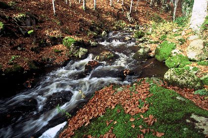 Aire de pique-nique à Lacessat, Office de Tourisme des Causses à l'Aubrac