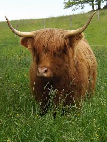 Cyclotourisme : Circuit Lacroix-Barrez - Aux portes de la Truyère, OFFICE DE TOURISME DU CANTON DE MUR DE BARREZ
