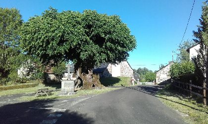 Le vieux tilleul à Nigresserre, OFFICE DE TOURISME DU CANTON DE MUR DE BARREZ