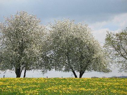 Les Vallées de la Bromme et du Siniq, OFFICE DE TOURISME DU CANTON DE MUR DE BARREZ