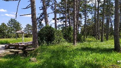 Aire de pique-nique du bois de la Douzette, OFFICE DE TOURISME LARZAC VALLEES