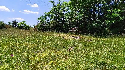 Aire de pique-nique de Gréponac, OFFICE DE TOURISME LARZAC VALLEES