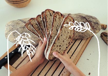 Les épis du Terral, OFFICE DE TOURISME DE PARELOUP LEVEZOU